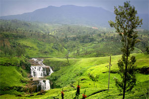 tour itinerary KANDY TO NUWARA ELIYA