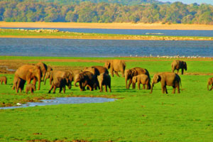 tour itinerary SIGIRIYA